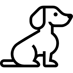 Koira